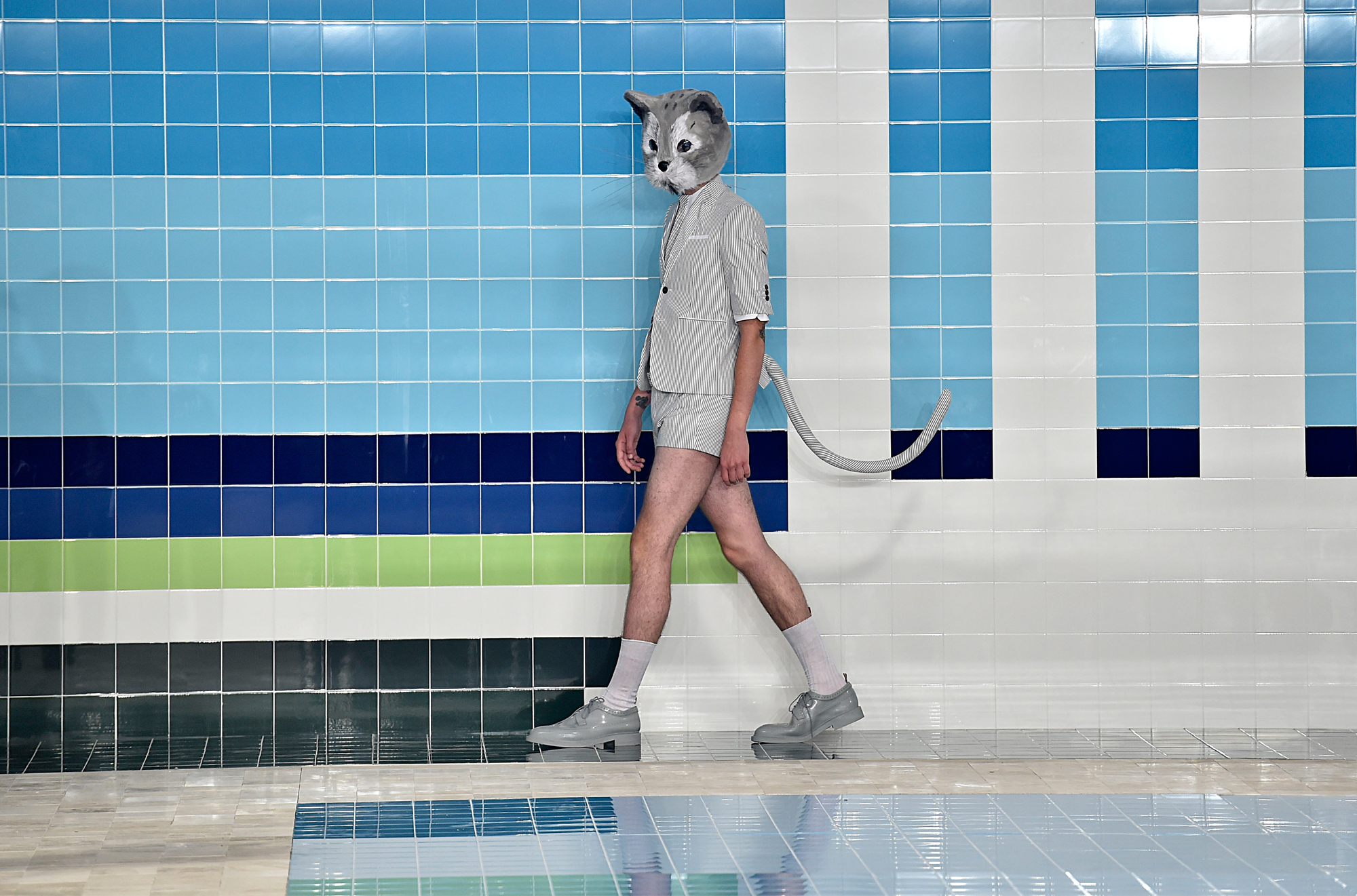 thom browne cat