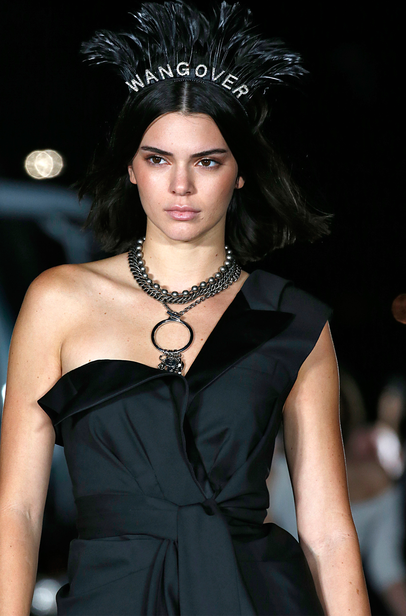 kendall jenner alexander wang